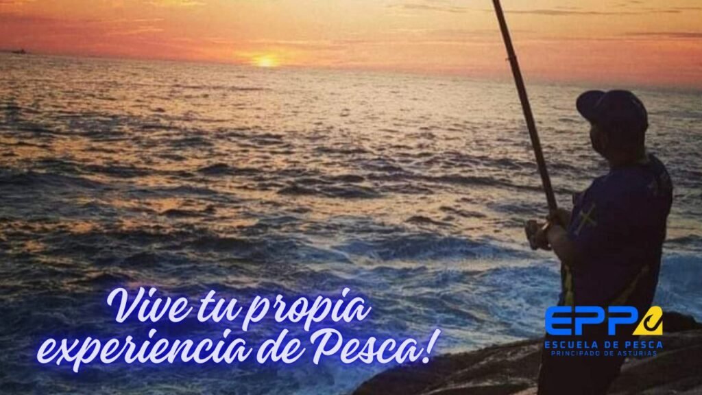 photo_2024-08-26_17-57-33